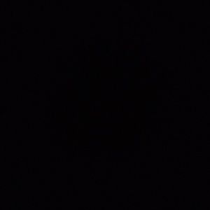 Meet your Posher, Charles